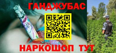 дмт Краснодар