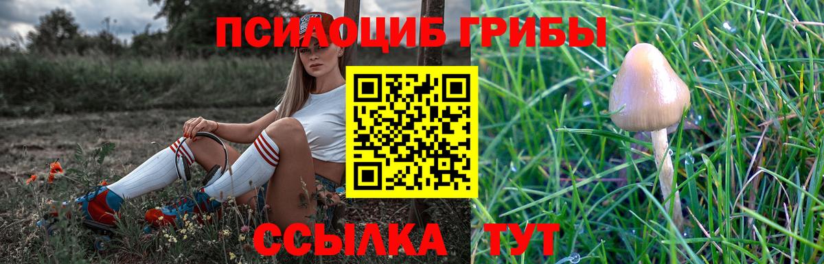 Касимов  Псилоцибиновые грибы GOLDEN TEACHER  Вход с VPN 