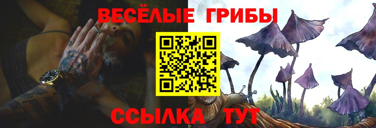 Галлюциногенные грибы мухоморы Касимов